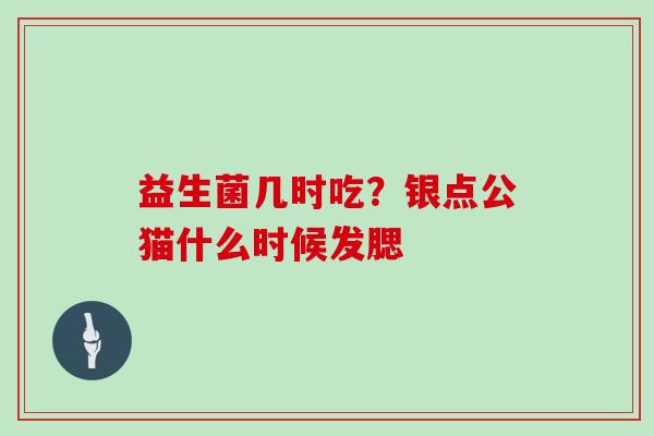 益生菌几时吃？银点公猫什么时候发腮