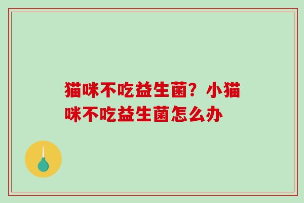 猫咪不吃益生菌？小猫咪不吃益生菌怎么办