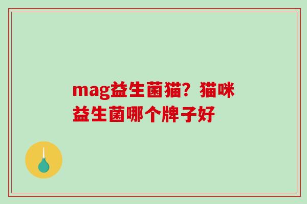 mag益生菌猫？猫咪益生菌哪个牌子好