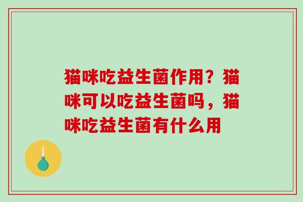 猫咪吃益生菌作用？猫咪可以吃益生菌吗，猫咪吃益生菌有什么用