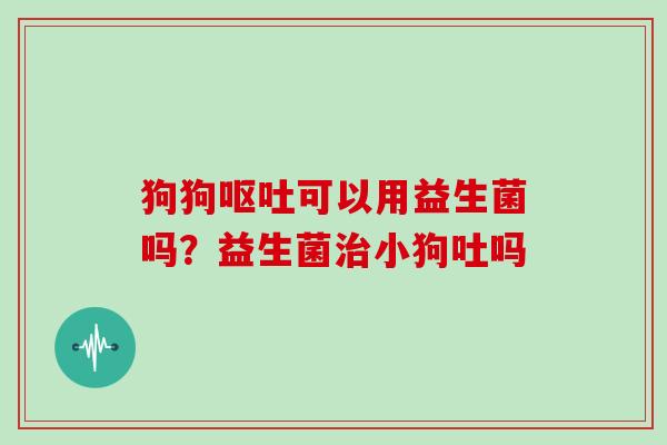 狗狗可以用益生菌吗？益生菌小狗吐吗