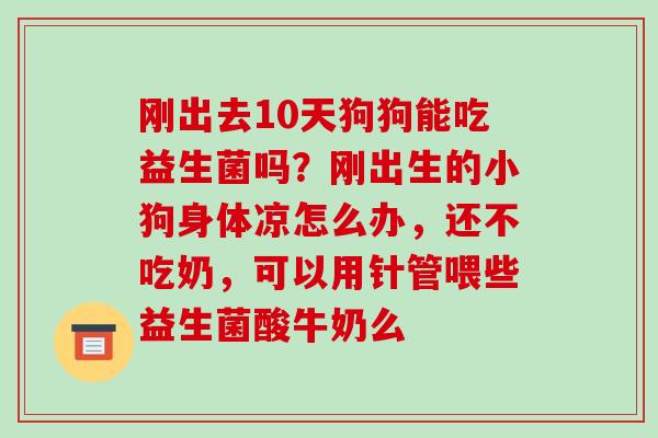 刚出去10天狗狗能吃益生菌吗?刚出生的小狗身体凉怎么办,还不吃奶,可以用针管喂些益生菌酸牛奶么 刚出去10天狗狗能吃益生菌吗?刚出生的小狗身体凉怎么办,还不吃奶,可以用针管喂些益生菌酸牛奶么