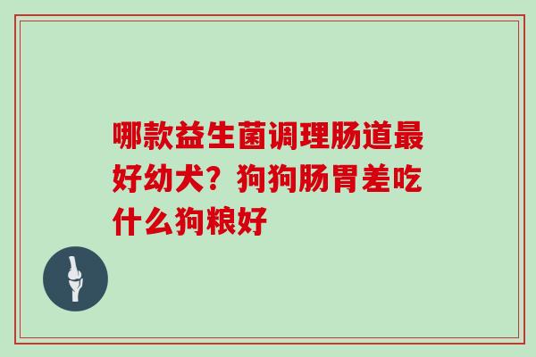 哪款益生菌调理肠道最好幼犬？狗狗肠胃差吃什么狗粮好