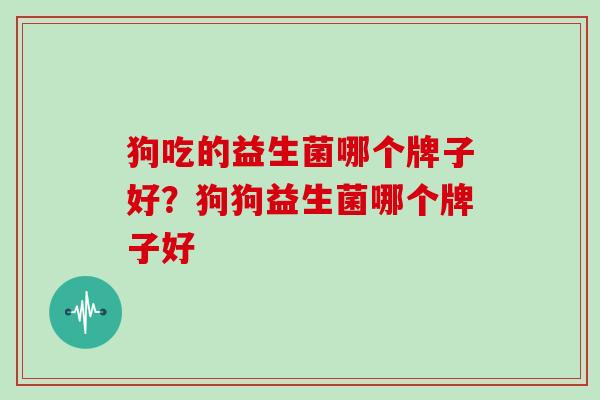 狗吃的益生菌哪个牌子好？狗狗益生菌哪个牌子好