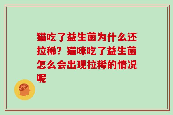 猫吃了益生菌为什么还拉稀？猫咪吃了益生菌怎么会出现拉稀的情况呢