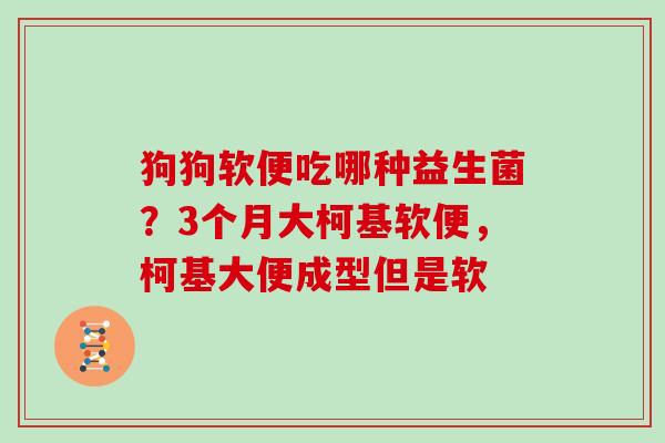 狗狗软便吃哪种益生菌？3个月大柯基软便，柯基大便成型但是软