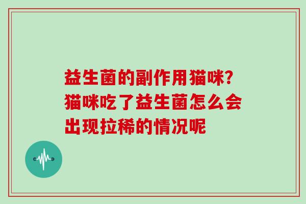 益生菌的副作用猫咪？猫咪吃了益生菌怎么会出现拉稀的情况呢