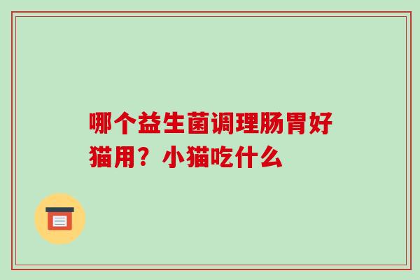 哪个益生菌调理肠胃好猫用？小猫吃什么