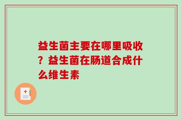 益生菌主要在哪里吸收？益生菌在肠道合成什么维生素