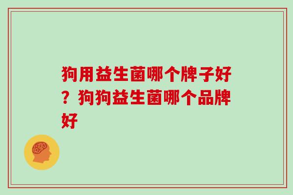 狗用益生菌哪个牌子好？狗狗益生菌哪个品牌好