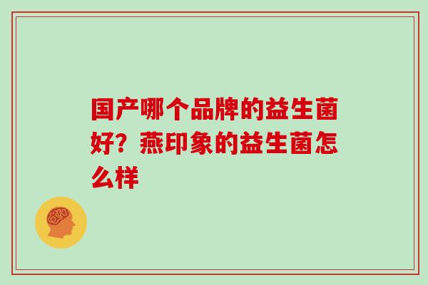 国产哪个品牌的益生菌好？燕印象的益生菌怎么样
