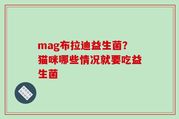 mag布拉迪益生菌？猫咪哪些情况就要吃益生菌