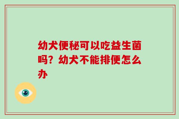 幼犬便秘可以吃益生菌吗？幼犬不能排便怎么办