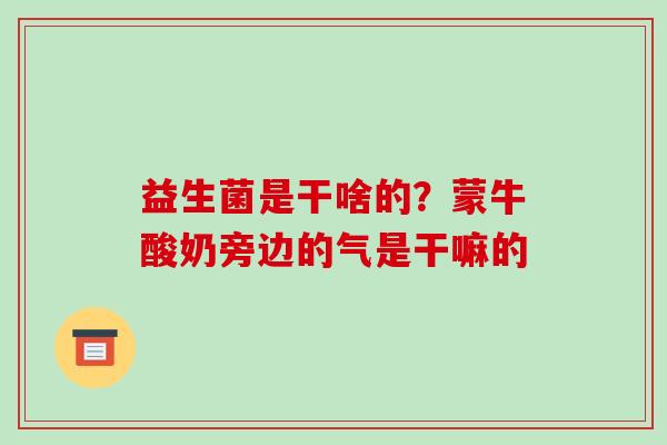 益生菌是干啥的？蒙牛酸奶旁边的气是干嘛的