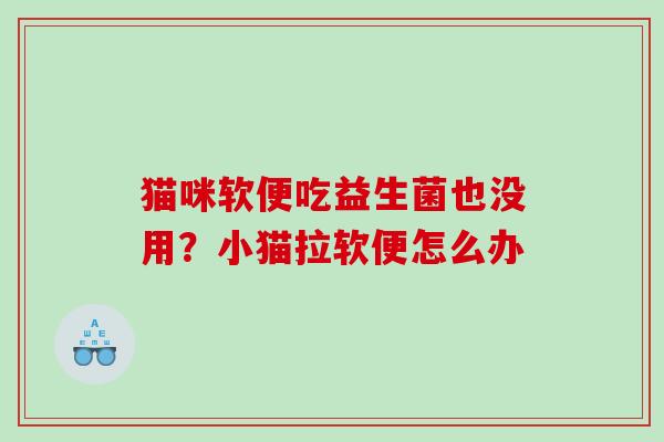 猫咪软便吃益生菌也没用？小猫拉软便怎么办