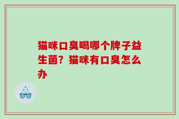 猫咪喝哪个牌子益生菌？猫咪有怎么办