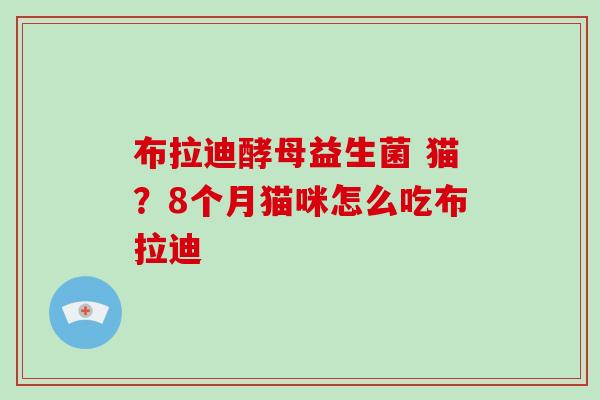 布拉迪酵母益生菌 猫？8个月猫咪怎么吃布拉迪