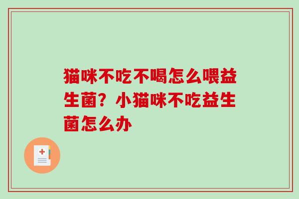 猫咪不吃不喝怎么喂益生菌？小猫咪不吃益生菌怎么办