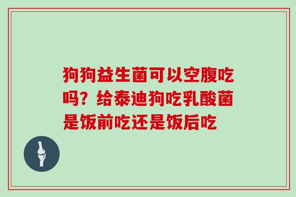 狗狗益生菌可以空腹吃吗？给泰迪狗吃乳酸菌是饭前吃还是饭后吃