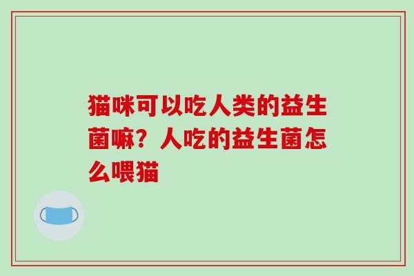 猫咪可以吃人类的益生菌嘛?人吃的益生菌怎么喂猫 猫咪可以吃人类的益生菌嘛?人吃的益生菌怎么喂猫