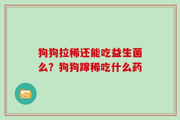 狗狗拉稀还能吃益生菌么？狗狗蹿稀吃什么药