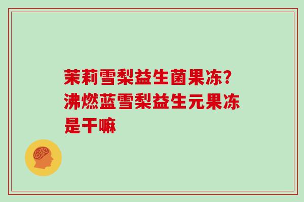 茉莉雪梨益生菌果冻？沸燃蓝雪梨益生元果冻是干嘛