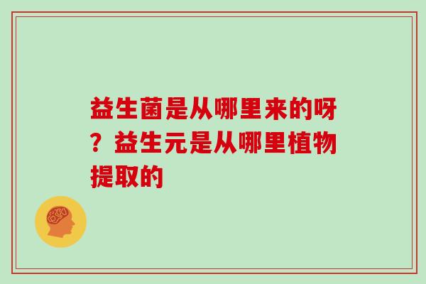 益生菌是从哪里来的呀？益生元是从哪里植物提取的
