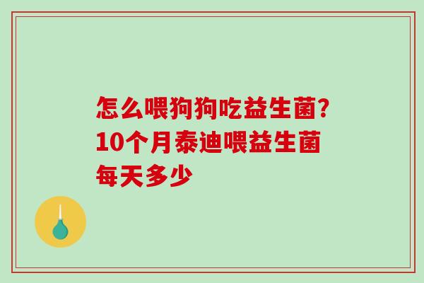怎么喂狗狗吃益生菌？10个月泰迪喂益生菌每天多少