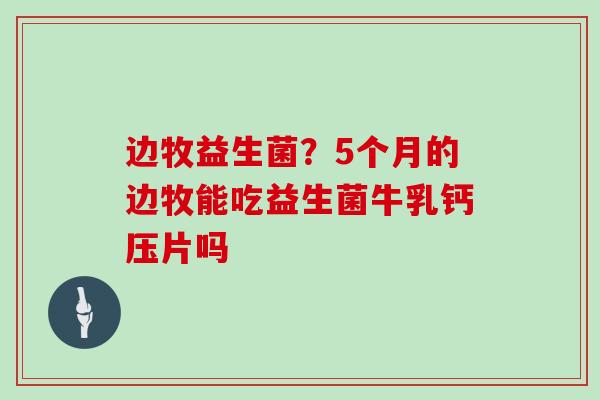 边牧益生菌？5个月的边牧能吃益生菌牛乳钙压片吗