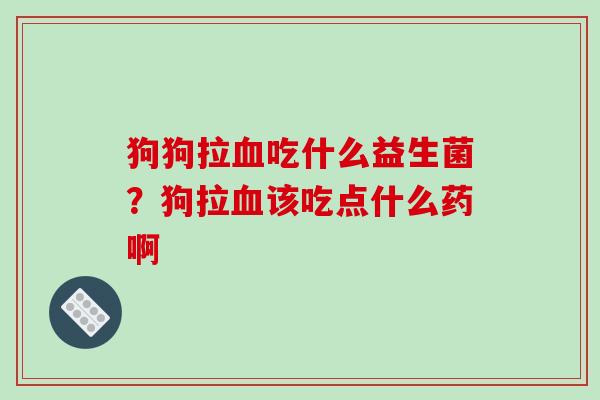 狗狗拉吃什么益生菌？狗拉该吃点什么药啊