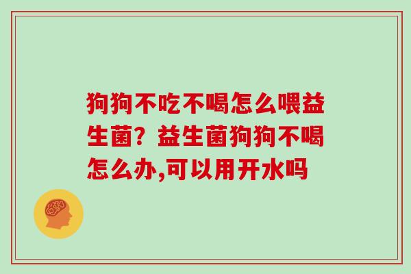 狗狗不吃不喝怎么喂益生菌？益生菌狗狗不喝怎么办,可以用开水吗