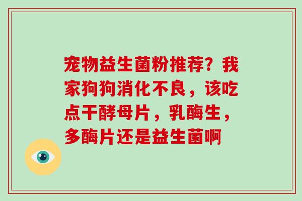 宠物益生菌粉推荐？我家狗狗，该吃点干酵母片，乳酶生，多酶片还是益生菌啊