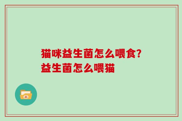 猫咪益生菌怎么喂食？益生菌怎么喂猫