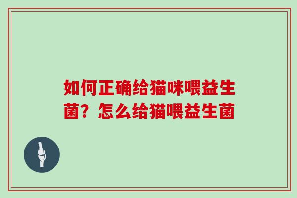 如何正确给猫咪喂益生菌？怎么给猫喂益生菌