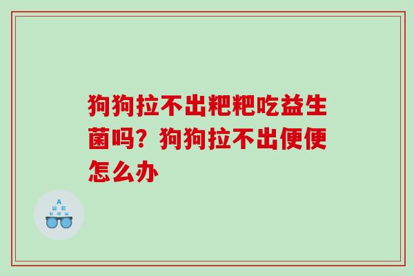 狗狗拉不出粑粑吃益生菌吗？狗狗拉不出便便怎么办