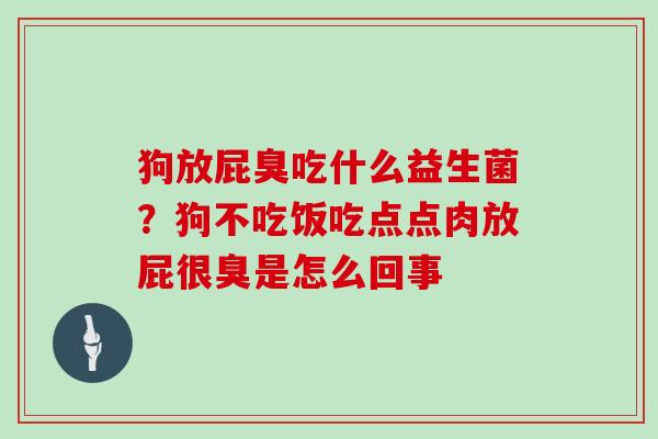 狗放屁臭吃什么益生菌？狗不吃饭吃点点肉放屁很臭是怎么回事