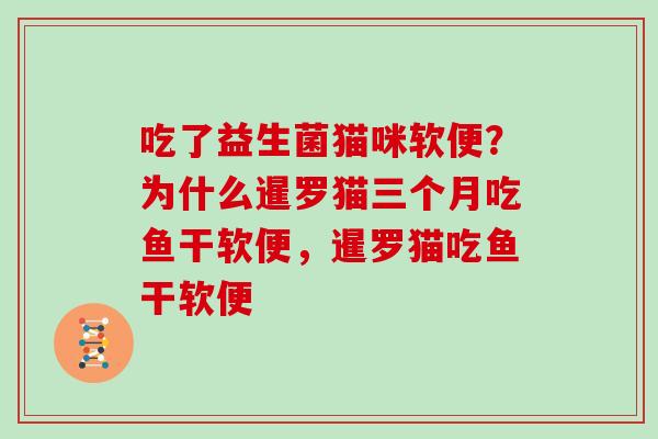 吃了益生菌猫咪软便？为什么暹罗猫三个月吃鱼干软便，暹罗猫吃鱼干软便