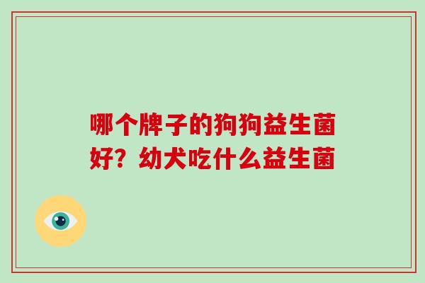 哪个牌子的狗狗益生菌好？幼犬吃什么益生菌