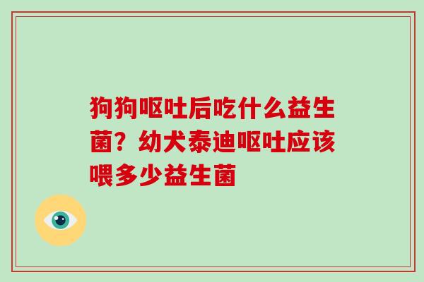 狗狗呕吐后吃什么益生菌？幼犬泰迪呕吐应该喂多少益生菌