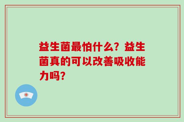 益生菌怕什么？益生菌真的可以改善吸收能力吗？