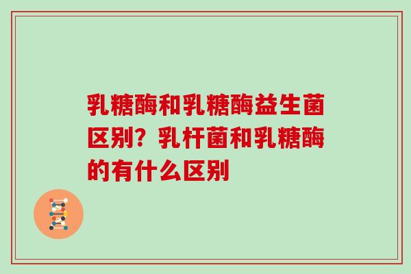 乳糖酶和乳糖酶益生菌区别？乳杆菌和乳糖酶的有什么区别