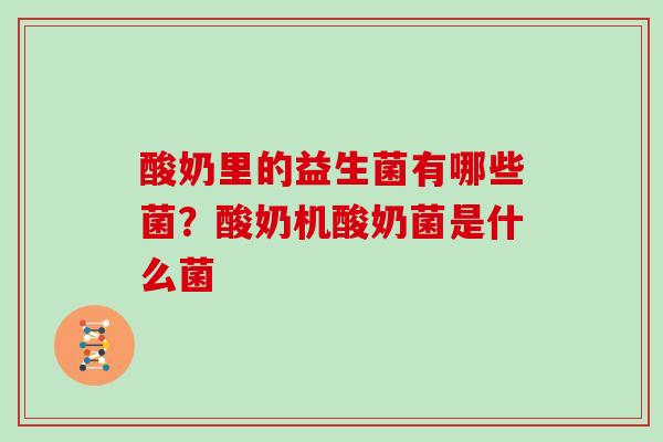 酸奶里的益生菌有哪些菌？酸奶机酸奶菌是什么菌