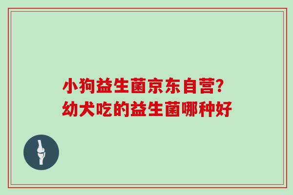 小狗益生菌京东自营？幼犬吃的益生菌哪种好