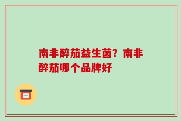南非醉茄益生菌？南非醉茄哪个品牌好