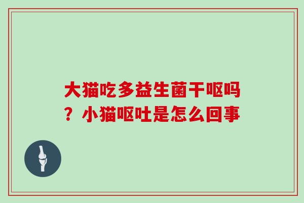 大猫吃多益生菌干呕吗？小猫呕吐是怎么回事