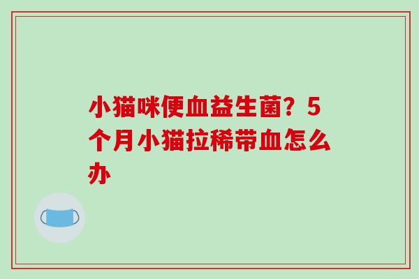 小猫咪便血益生菌？5个月小猫拉稀带血怎么办