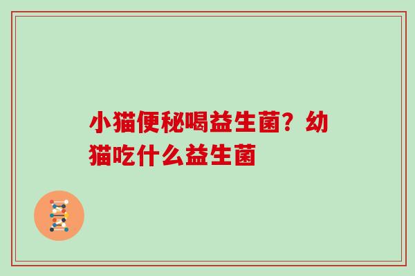 小猫便秘喝益生菌？幼猫吃什么益生菌