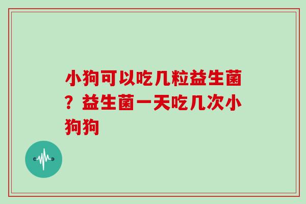 小狗可以吃几粒益生菌？益生菌一天吃几次小狗狗