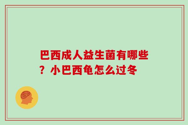 巴西成人益生菌有哪些？小巴西龟怎么过冬