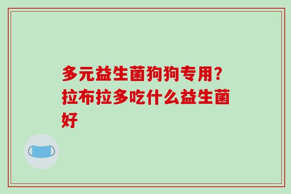 多元益生菌狗狗专用？拉布拉多吃什么益生菌好